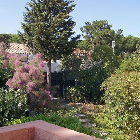 Lara 2 - T2 Balcon Piscine Lit Double & Clic-Clac Parking Pres Du Centre-Port Et Ile Loisirs Agde Exterior foto